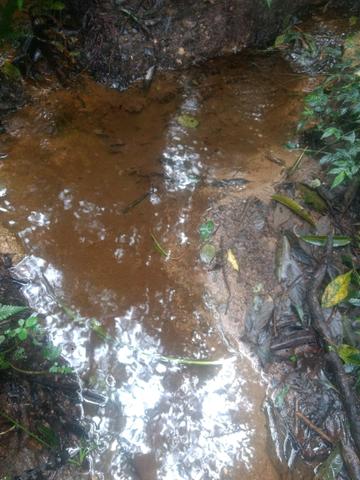 Vendo sítio em agudos do sul - Foto 14