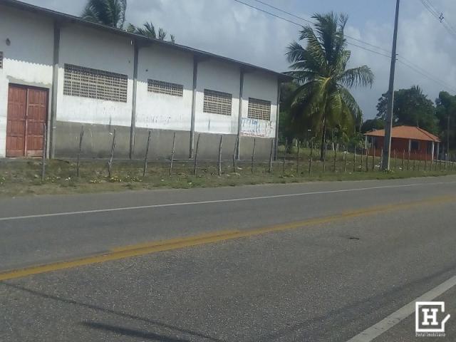 SÍTIO À VENDA - Areia Branca (Zona de Expansão) - Foto 9