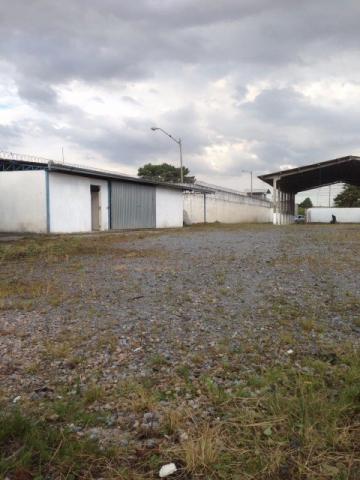 Terreno para alugar em Xaxim, Curitiba cod:TE00044 - Foto 6
