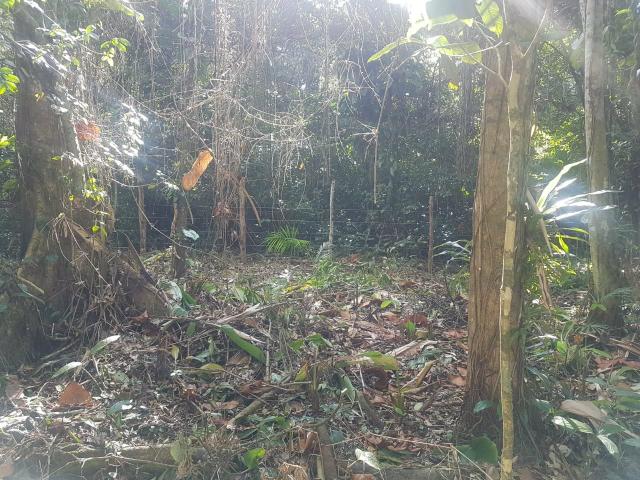 Terreno para formar Chácara - Foto 6