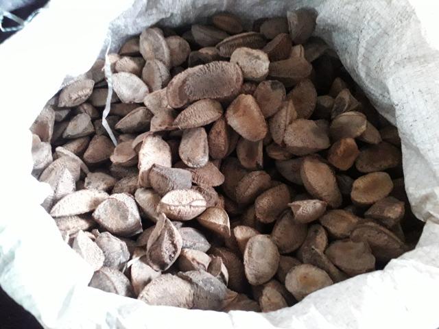 Castanha do PARÁ! - Foto 2