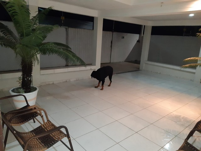 Casa 3 quartos à venda - Nossa Senhora da Apresentação, Natal - RN 1096856996 | OLX Casa 3 quartos à venda - Nossa Senhora da Apresentação, Natal - RN 1096856996 | OLX