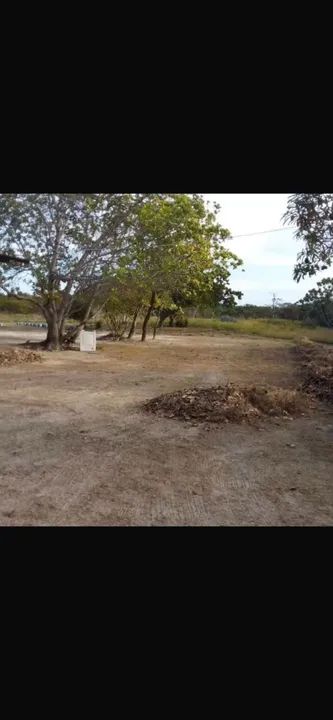 foto - Boa Vista - Estados