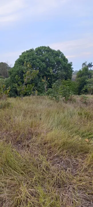 Excelente oportunidade, terreno rural em Mazagão 500.000m²
