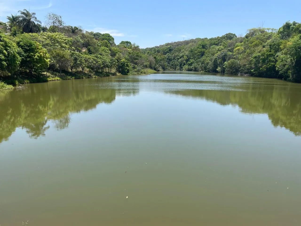 Excelentes Lotes no Serra Morena  - Foto 5