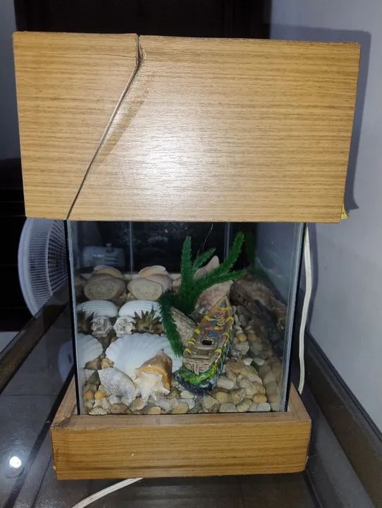 Vendo um aquário completo conbonba  - Foto 5