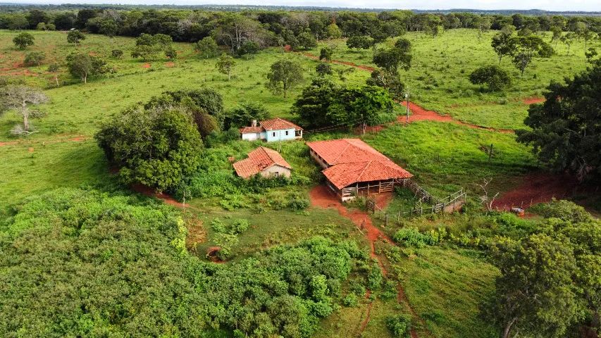 Paineiras - Região Centro Oeste de Minas Gerais - Foto 4