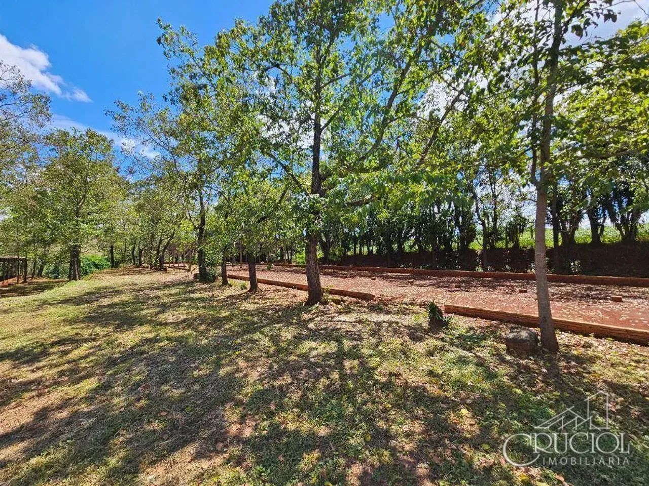 Chácara à venda, 24619 m² por R$ 1.750.000,00 - Gleba Palhano - Londrina/PR - Foto 3