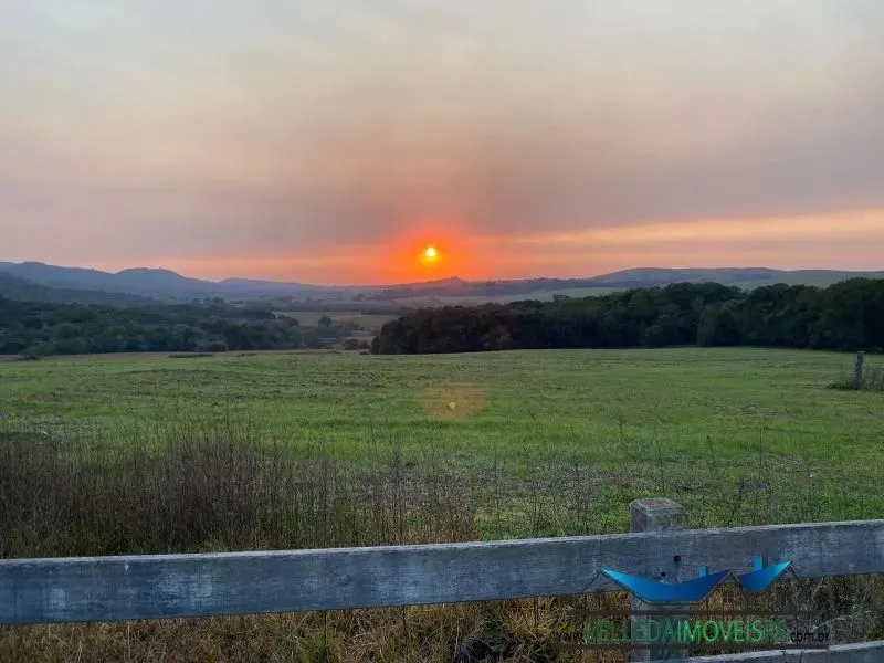 Velleda oferece encantadora fazenda 562ha em Pinheiro Machado, rica em água, para pecuária