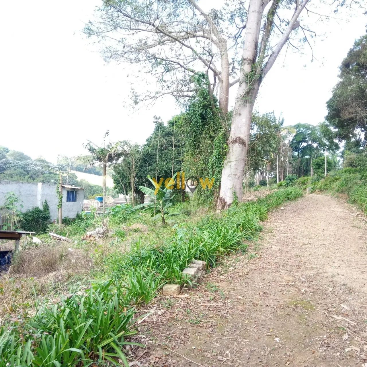 Chacara em Jardim Alto da Boa Vista - Suzano - Foto 5