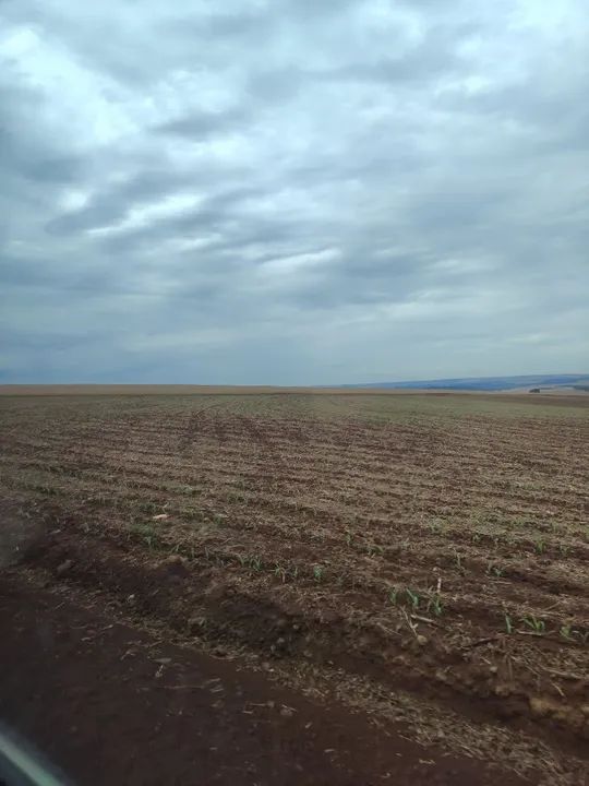 Sítio 53 alqueiro planta 44 - Foto 4