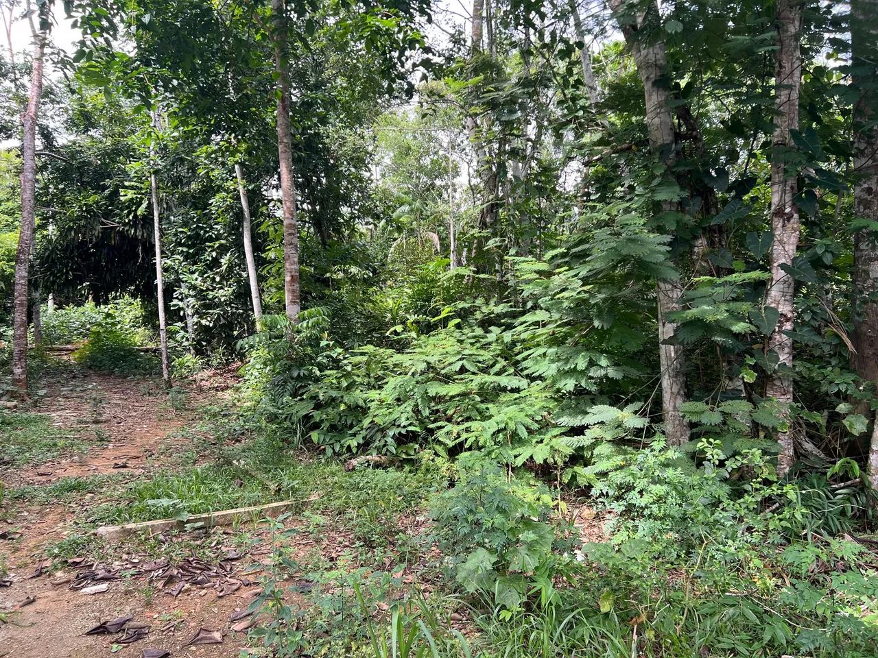 TERRENO 10 X 40 - TARUMÃ  - Foto 5