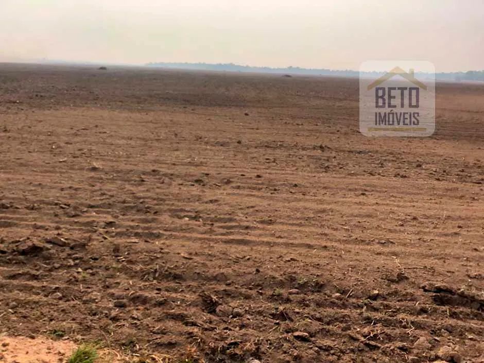 Fazenda/Sítio/Chácara para venda com  metros quadrados em Zona Rural - Cristalândia - TO - Foto 3