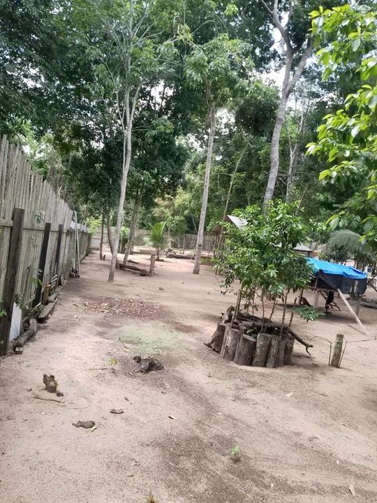 Sítio no Aramanaí  - Foto 4