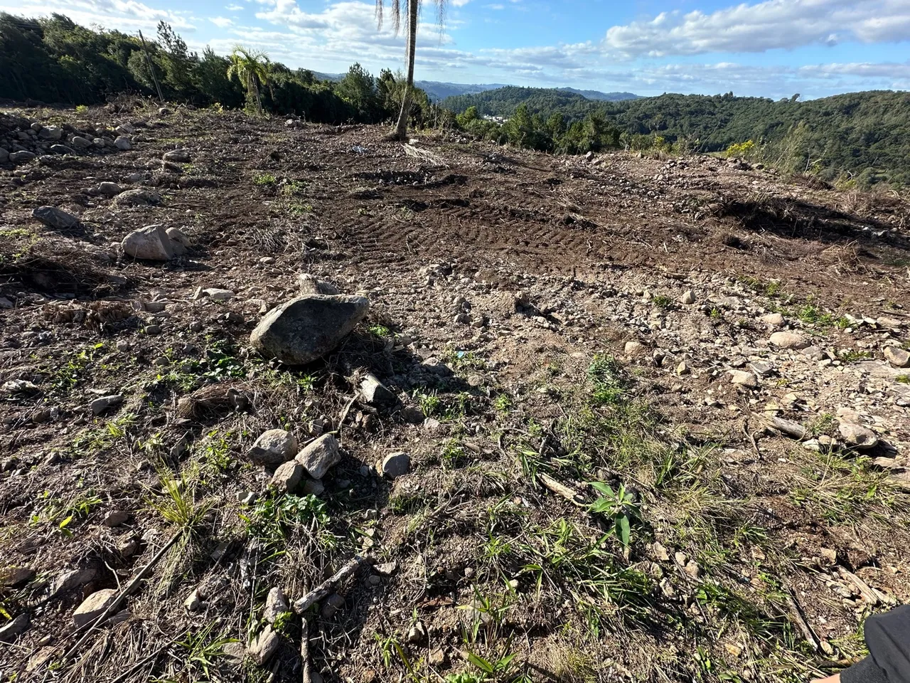 Terreno