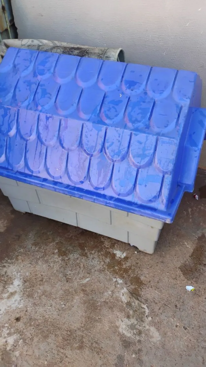 Casinha para cachorro azul