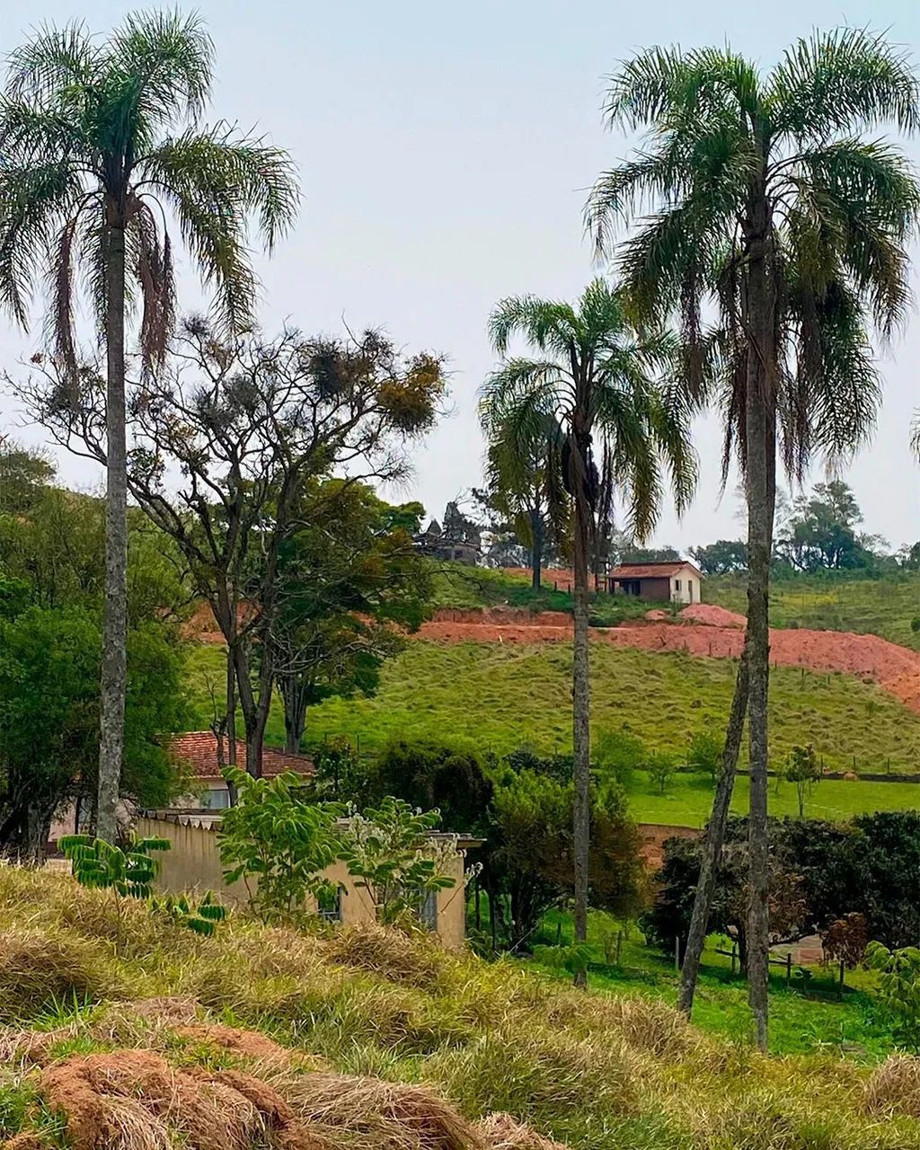 PREÇO IMBATÍVEL NO BAIRRO LAGEADINHO! A partir de R$ 59.997,00 à vista! - Foto 4