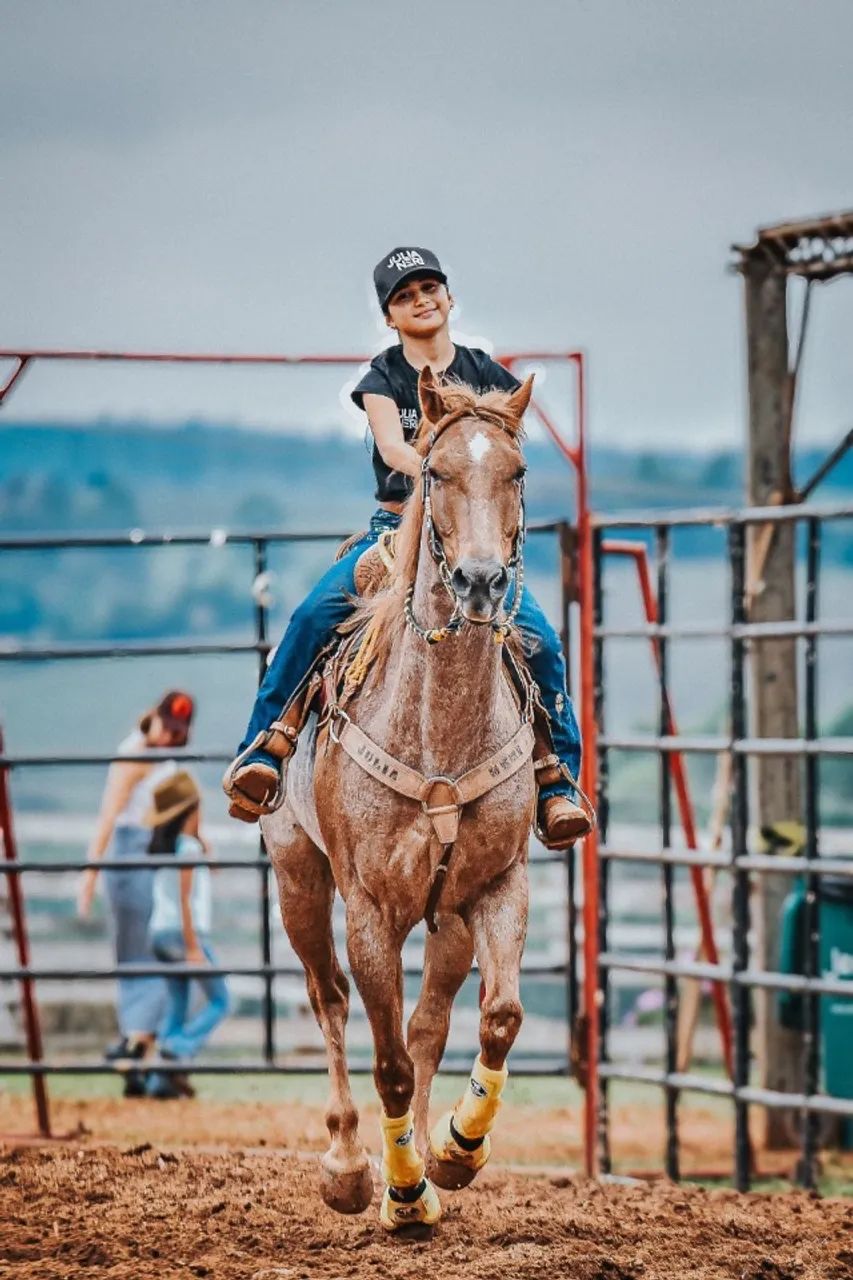 Cavalo Quarto de Milha registrado Team penning 
