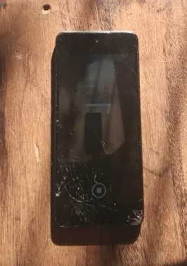 Celular eletrônico