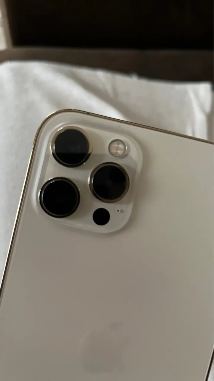 iPhone 12 Pro Max 256