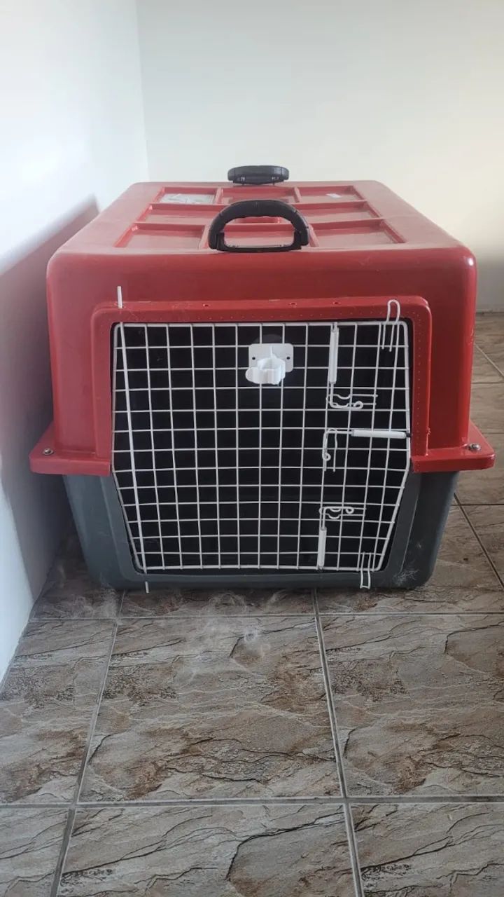 Caixa para pet - Foto 3