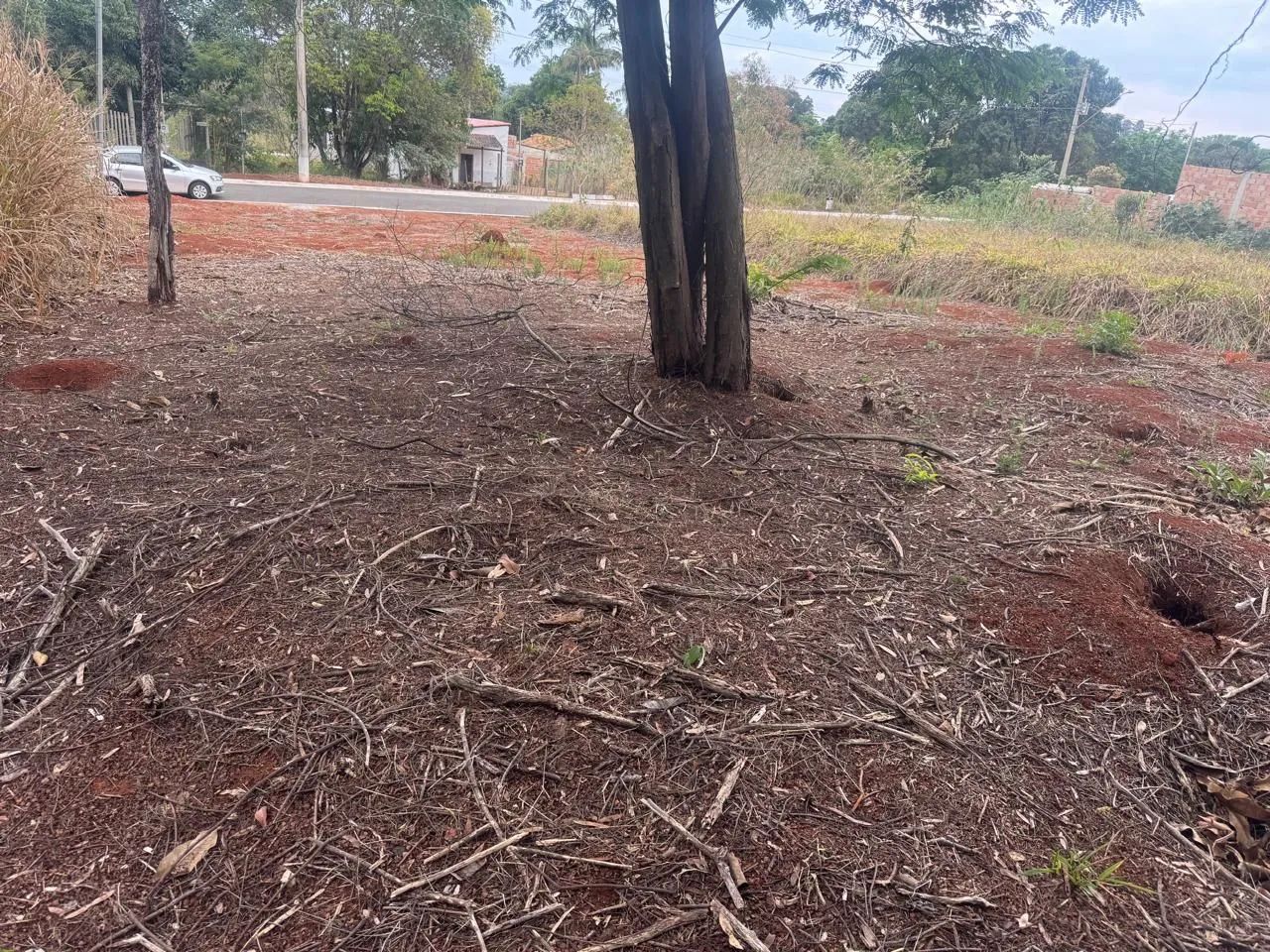 Excelente lote em Condomínio fechado, Igarapé  - Foto 2
