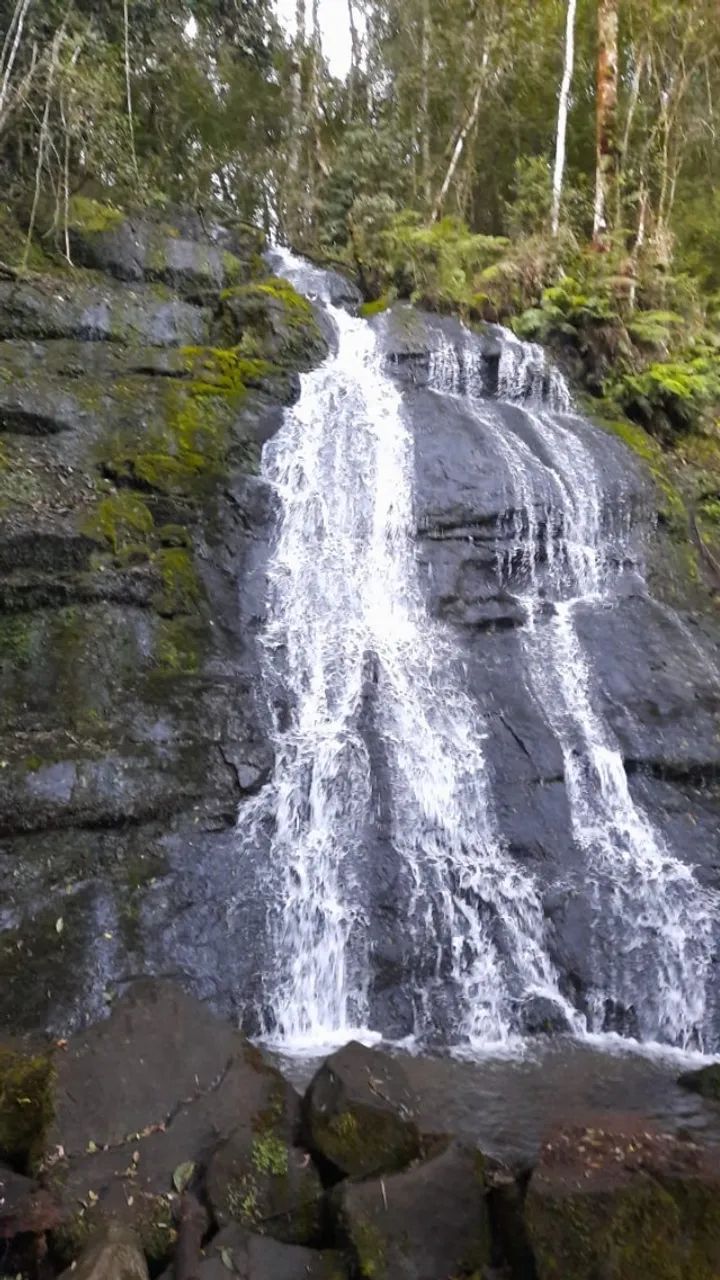 Foto - Guapiara - 