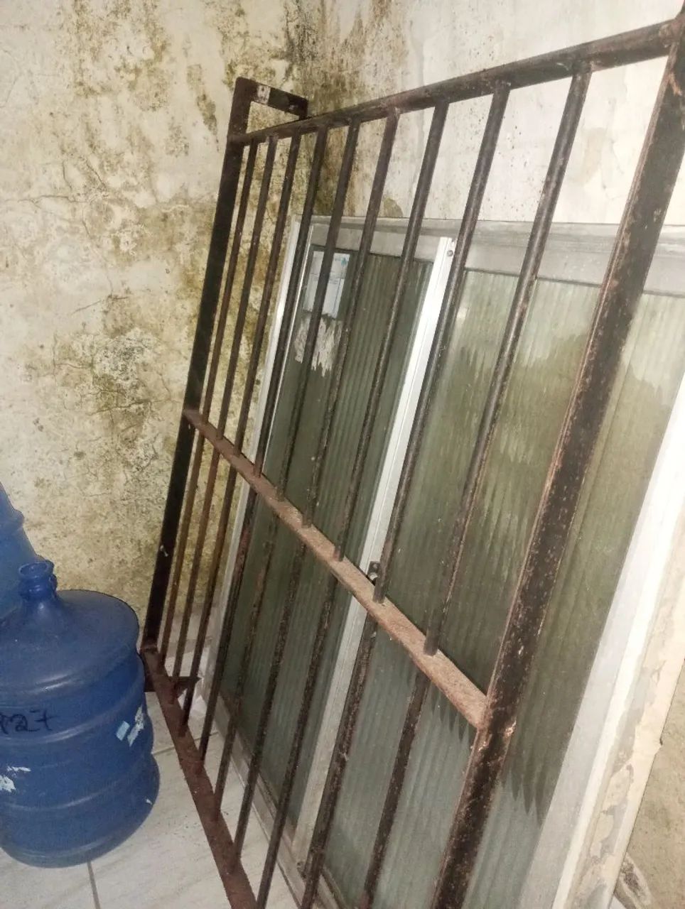 Aranha pra janela64650960461187120