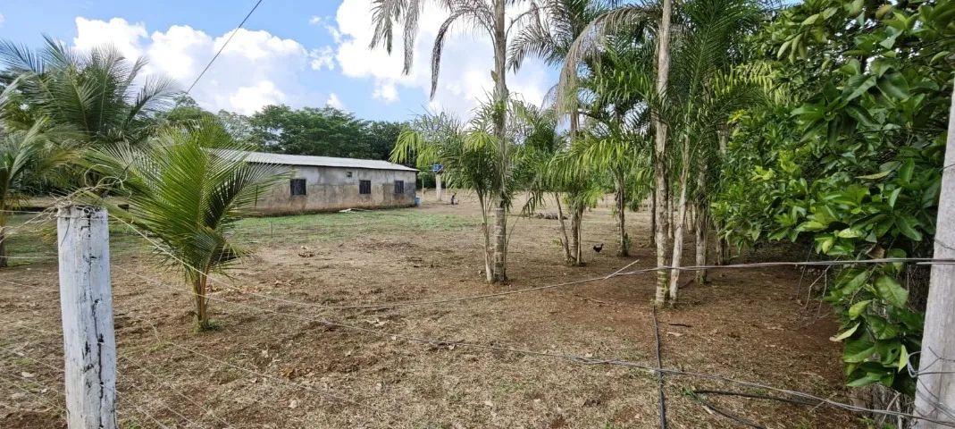 Chacara 5600m2 ramal dos coco - Foto 4