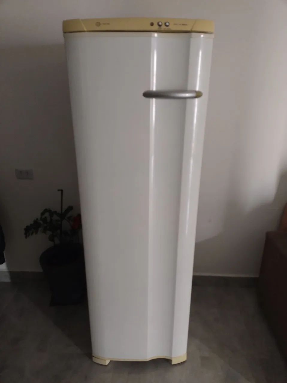 Freezer vertical 