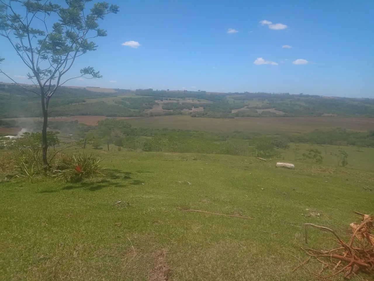 Pasto para cavalo  - Foto 2