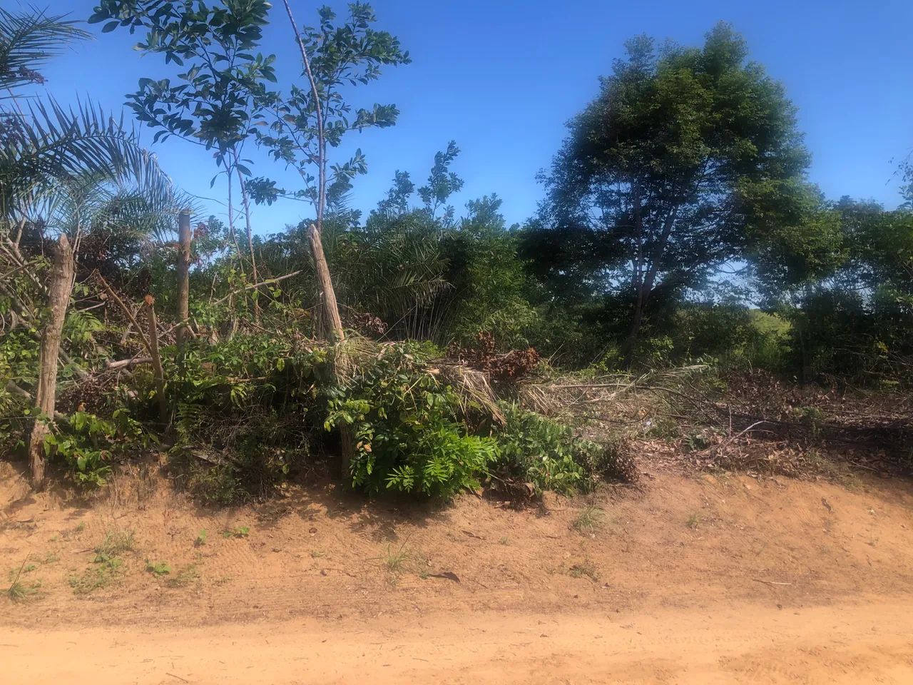 ? Terreno com 2 Tarefas à Venda em Oitis - Esplanada/BA | Próximo às Cachoeiras - Foto 3