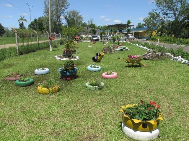 Manutenção em grama, Corte e Plantio - Foto 3