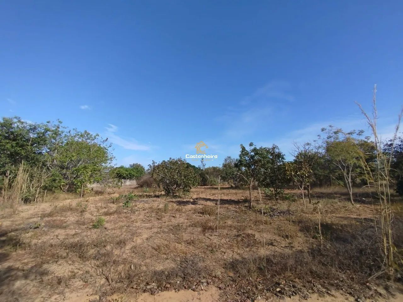 Chácara | Sítio - 4.550 m² - Expansão Sul - Taquari - Foto 3