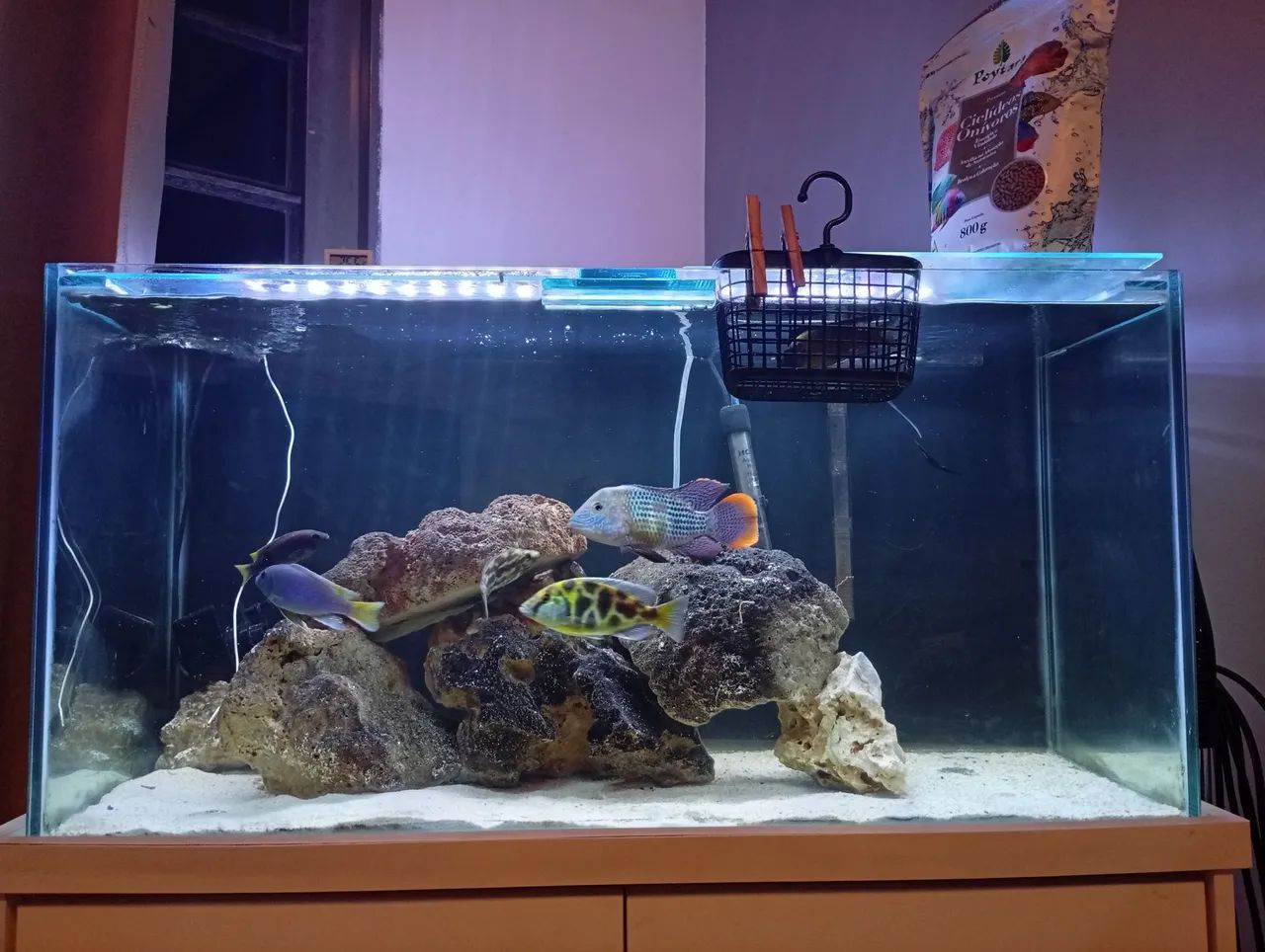 Aquário de 140lt com móvel completo  - Foto 6