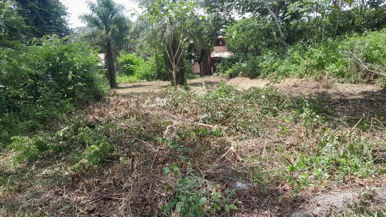 Terreno no murinin/Benevides 