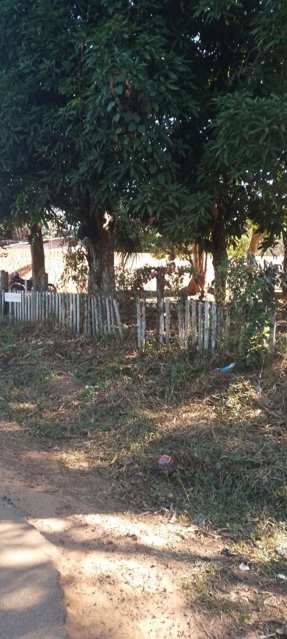Vendo terreno no ramal bem fica - Foto 3