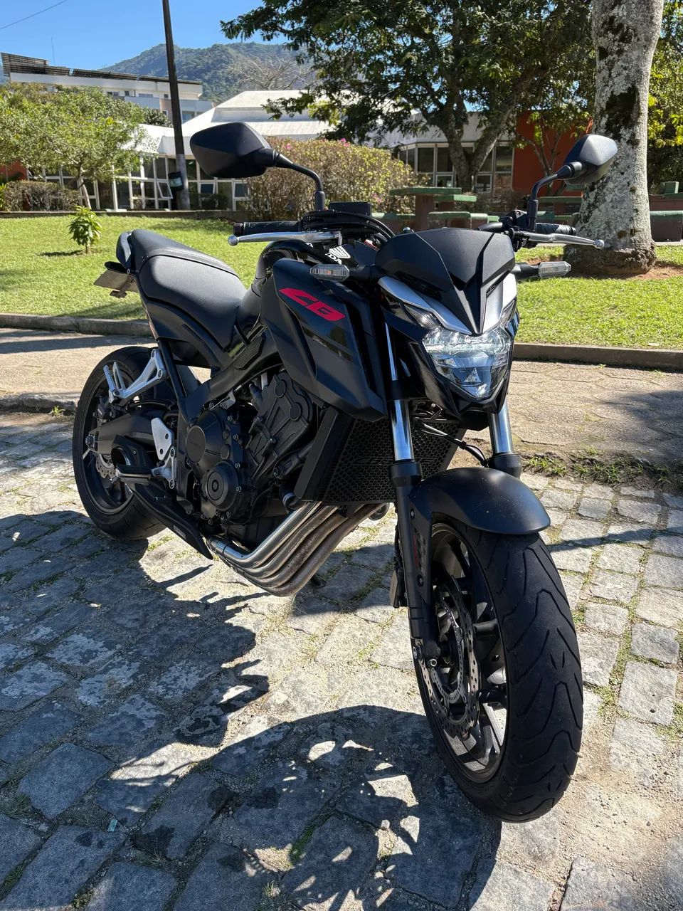 Cb 650f 2019