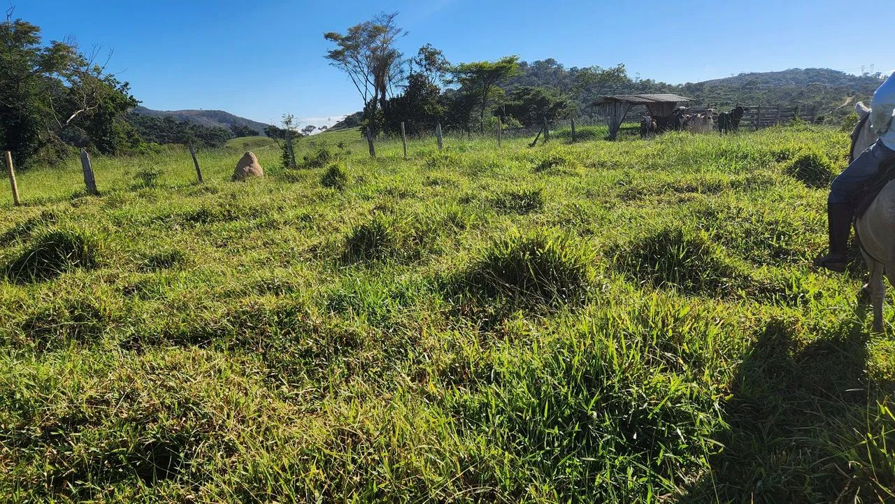 Terreno com pastagem formada Bonfim/MG - Foto 4