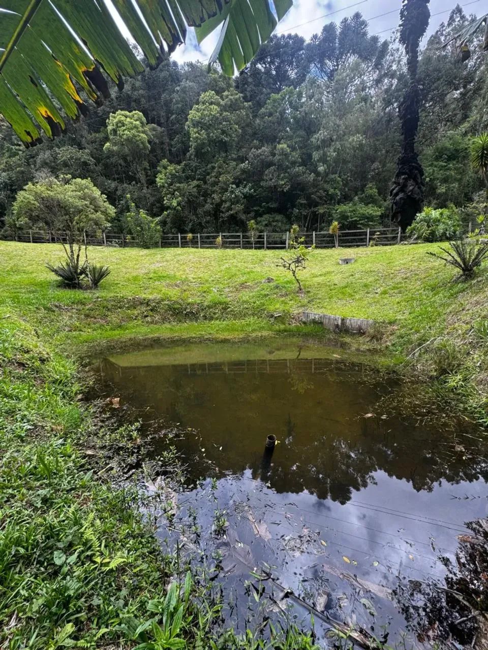 Belo Chácara em Anitápolis - SC - Foto 3