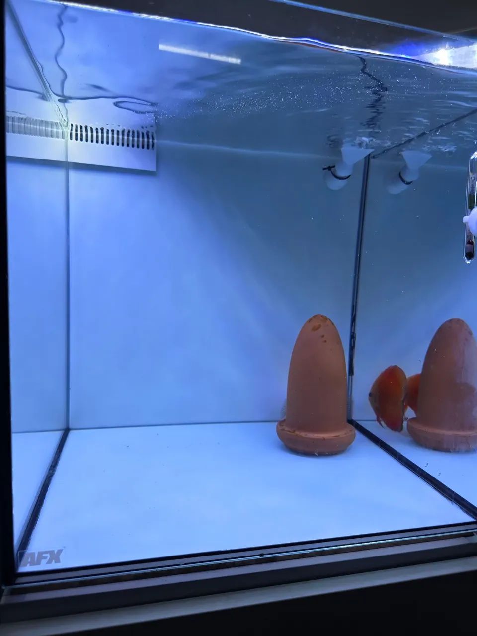 Aquario afx + movel Artero - Foto 3