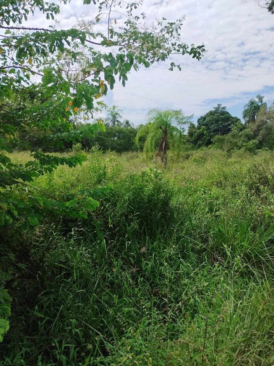 TERRENO EM PERUÍBE PRONTO PARA CONSTRUIR - Foto 5