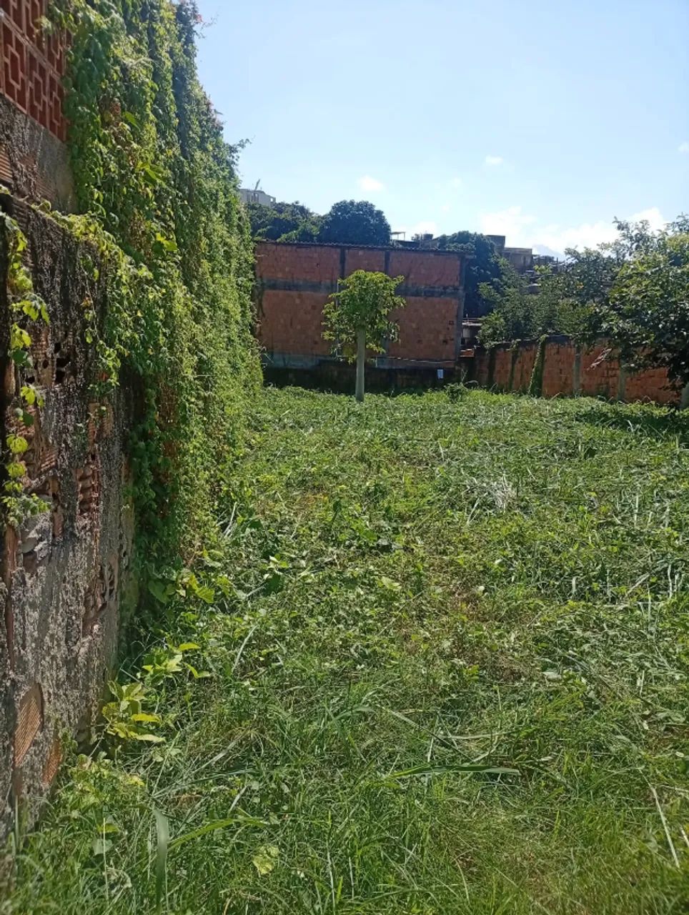 Terreno 300m2 - Foto 4