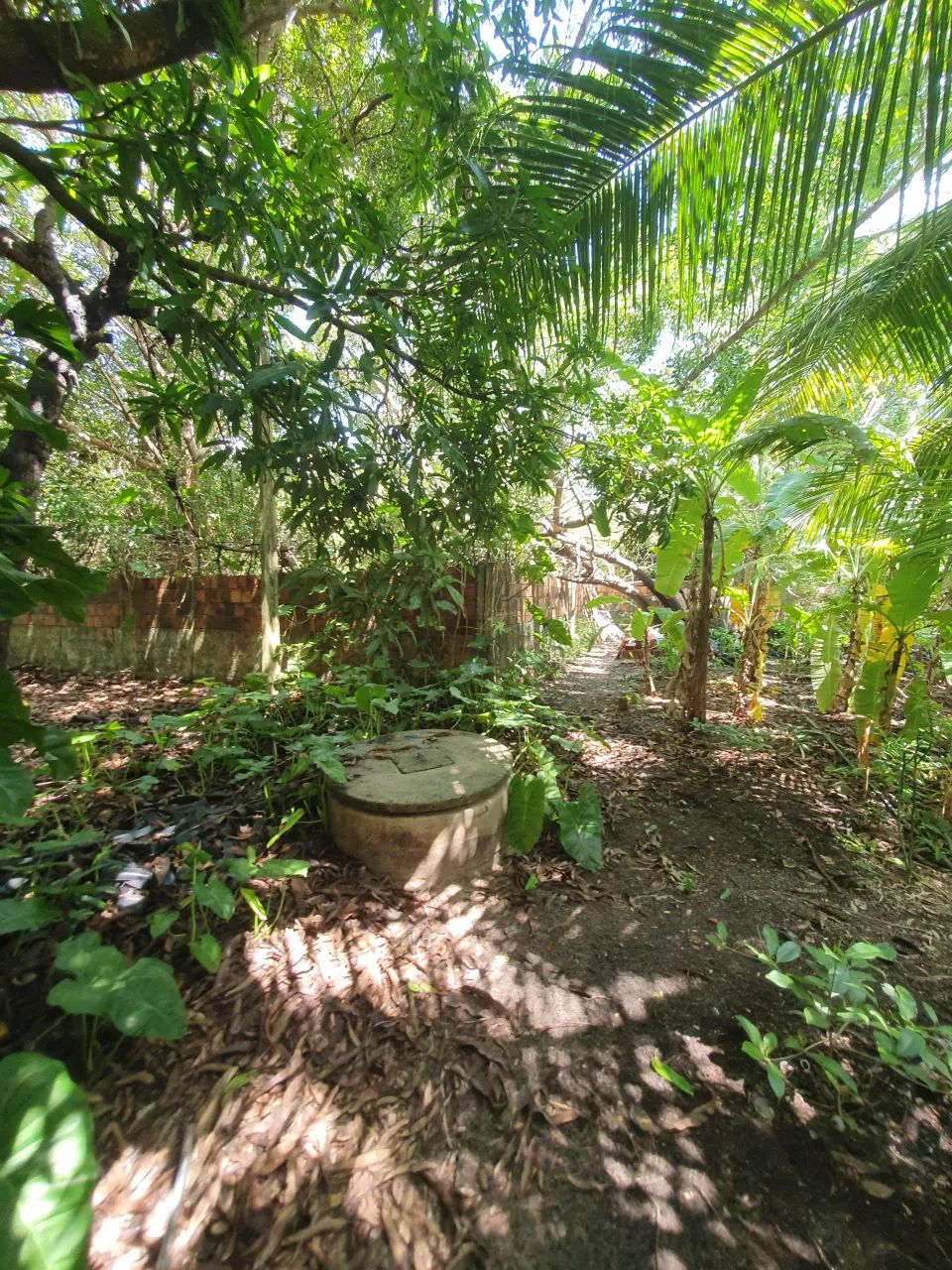 Sitio com 3.0000 metros quadrados com casa 3 quartos no Eusébio!!!! - Foto 5