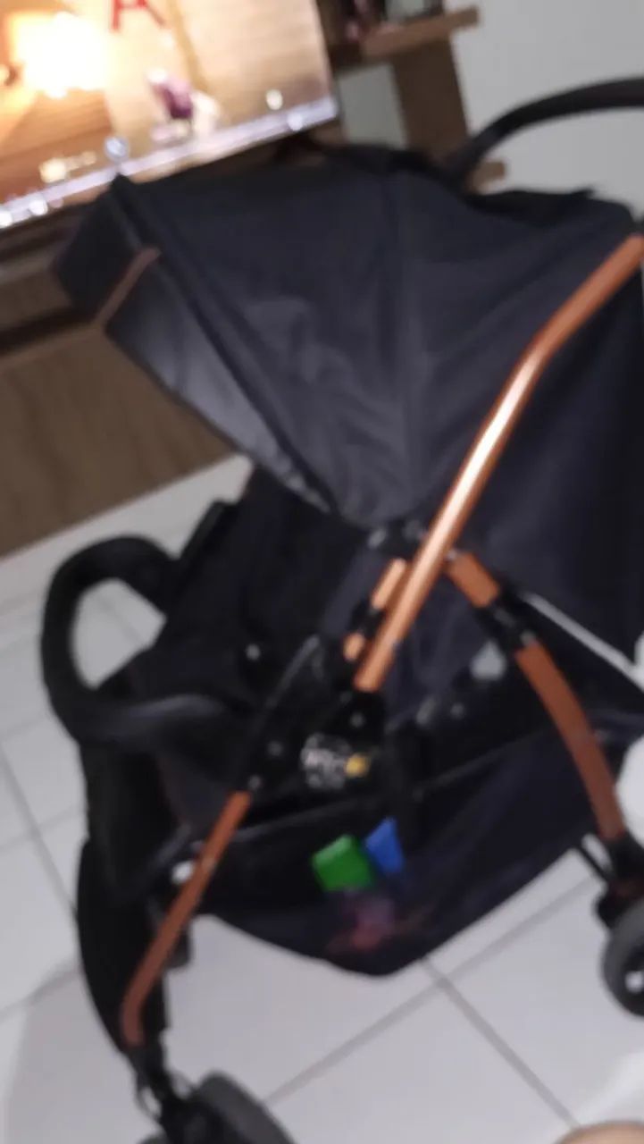Carrinho Burigotto
