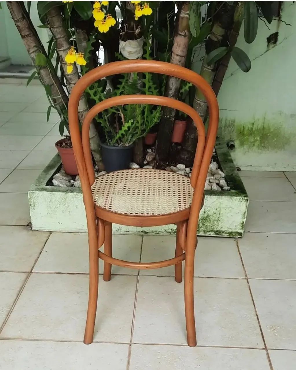 Rara e Bela Cadeira Thonet - Foto 4