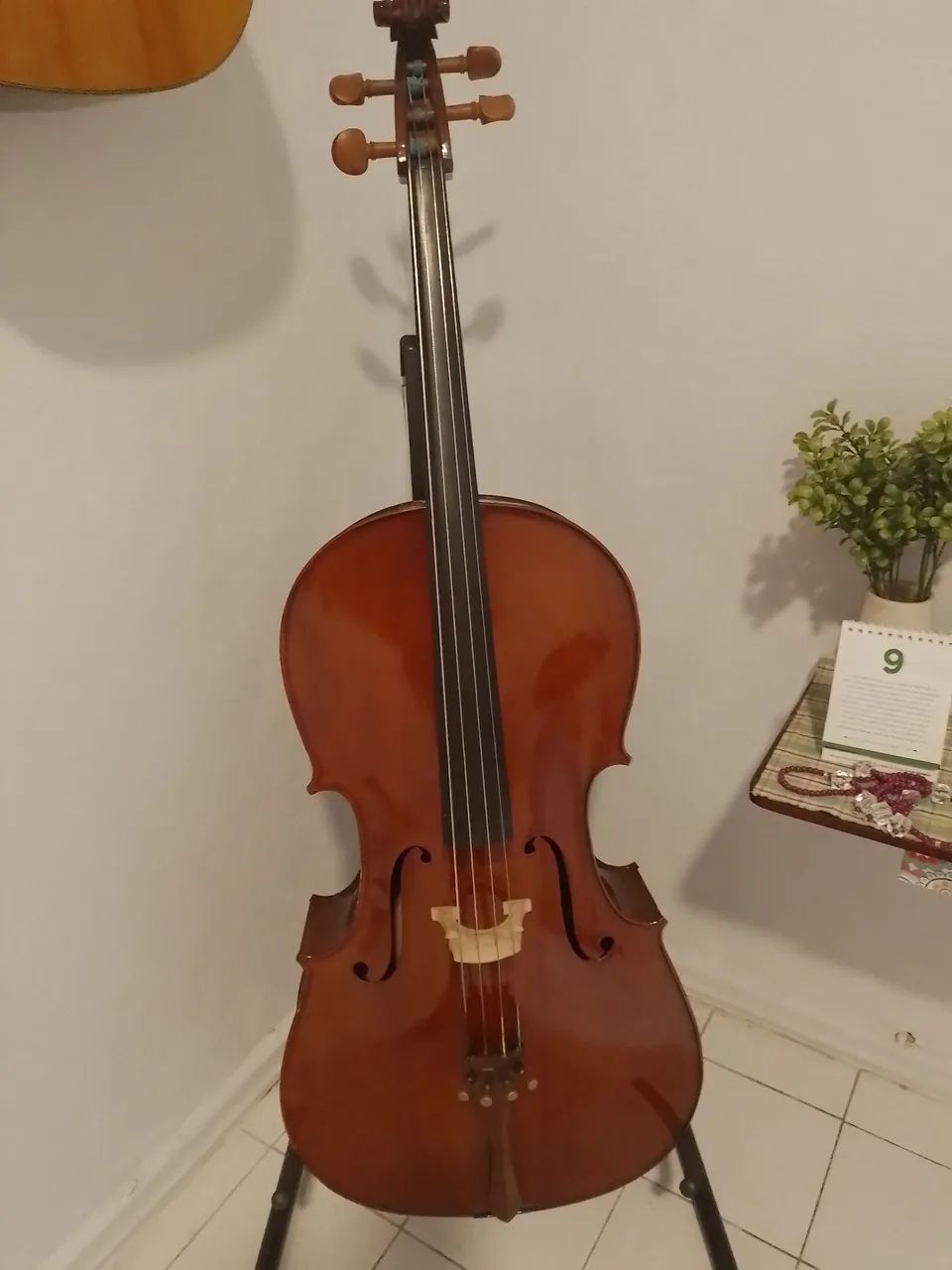 Violoncelo Eagle CE 200 Com Capa e 2 Arcos