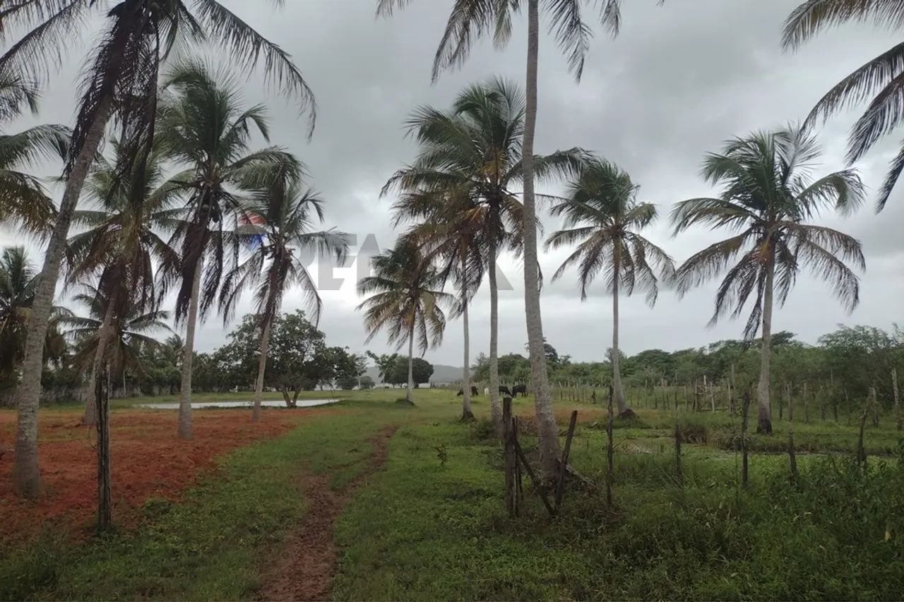 sítio em marechal 12.019,00 de área total . - Foto 3