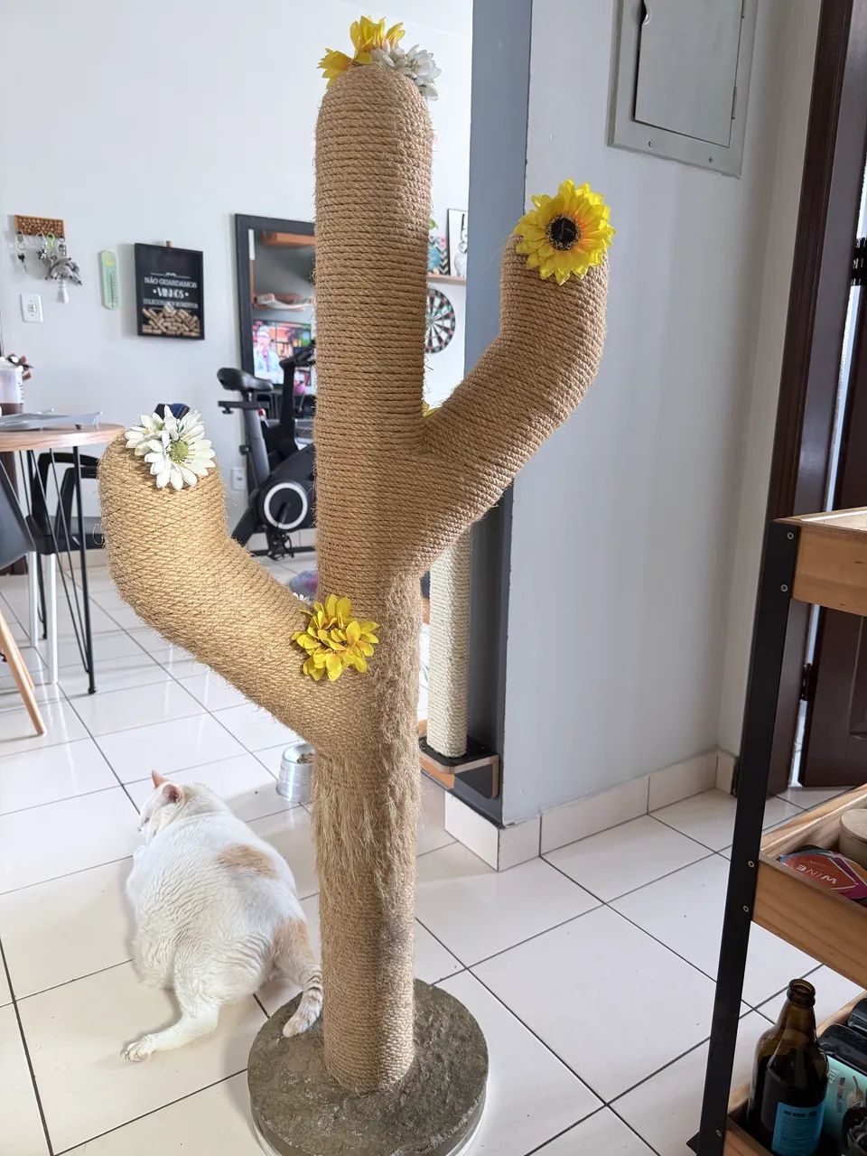 Arranhador de gato
