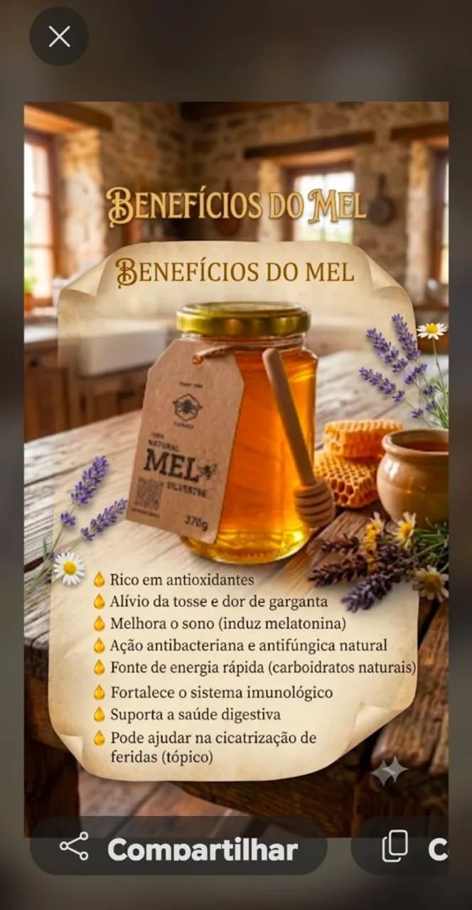 MEL  - Foto 2